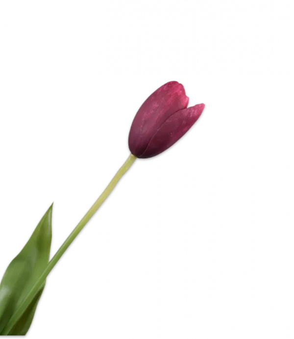 Bordeaux tulp - Silk-ka Real Touch - H82 cm
