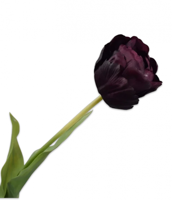Bordeaux tulp - Silk-ka Real Touch - H66 cm