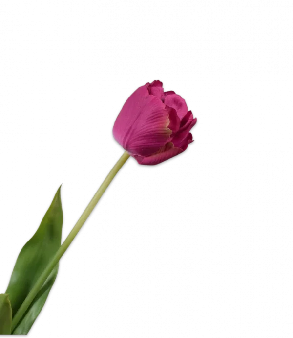 Roze tulp - Silk-ka Real Touch - H66 cm