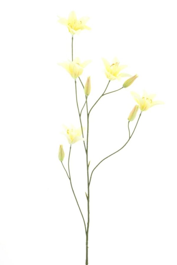 Lelie tak geel - H106 cm