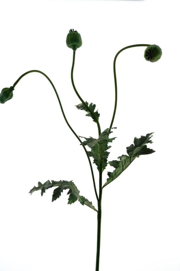 Papaver poppy groen - H92 cm