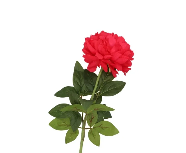 Pioen roos roze - H71 cm