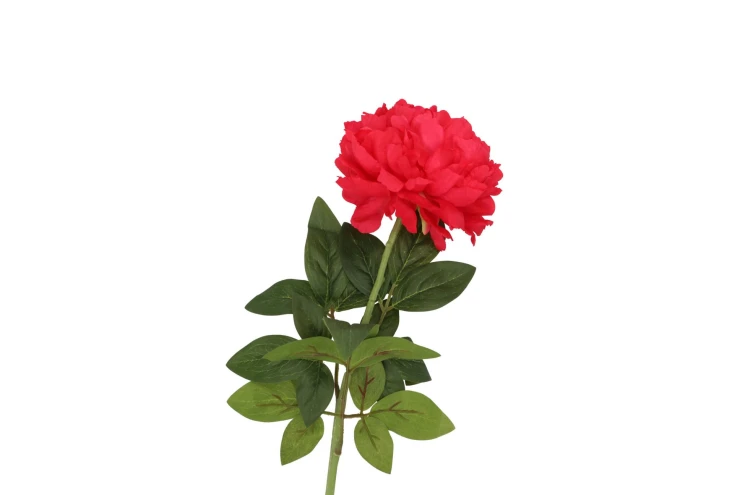 Pioen roos roze - H71 cm