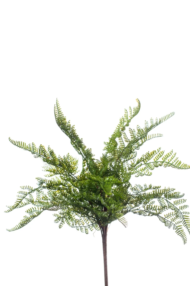 Varen groen - H40 cm