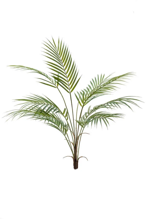Bergpalm groen - H85 cm