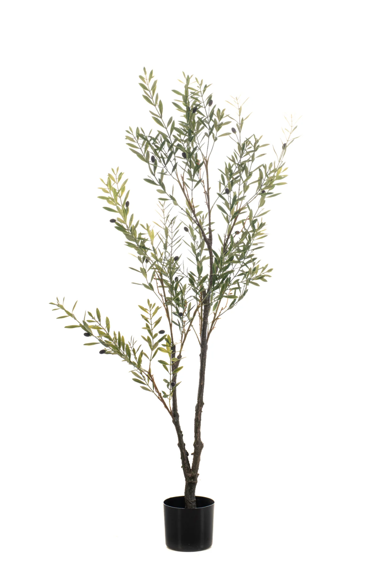 Olijfboom - binnen en buiten - H140 cm
