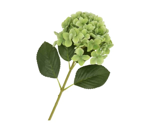 Hortensia groen - H45 cm