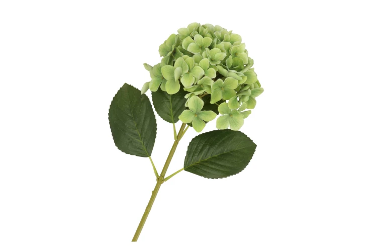 Hortensia groen - H45 cm