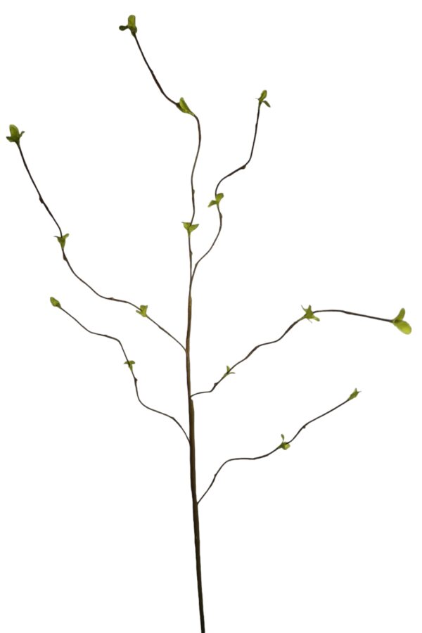 Wilgen tak groen  H110 cm