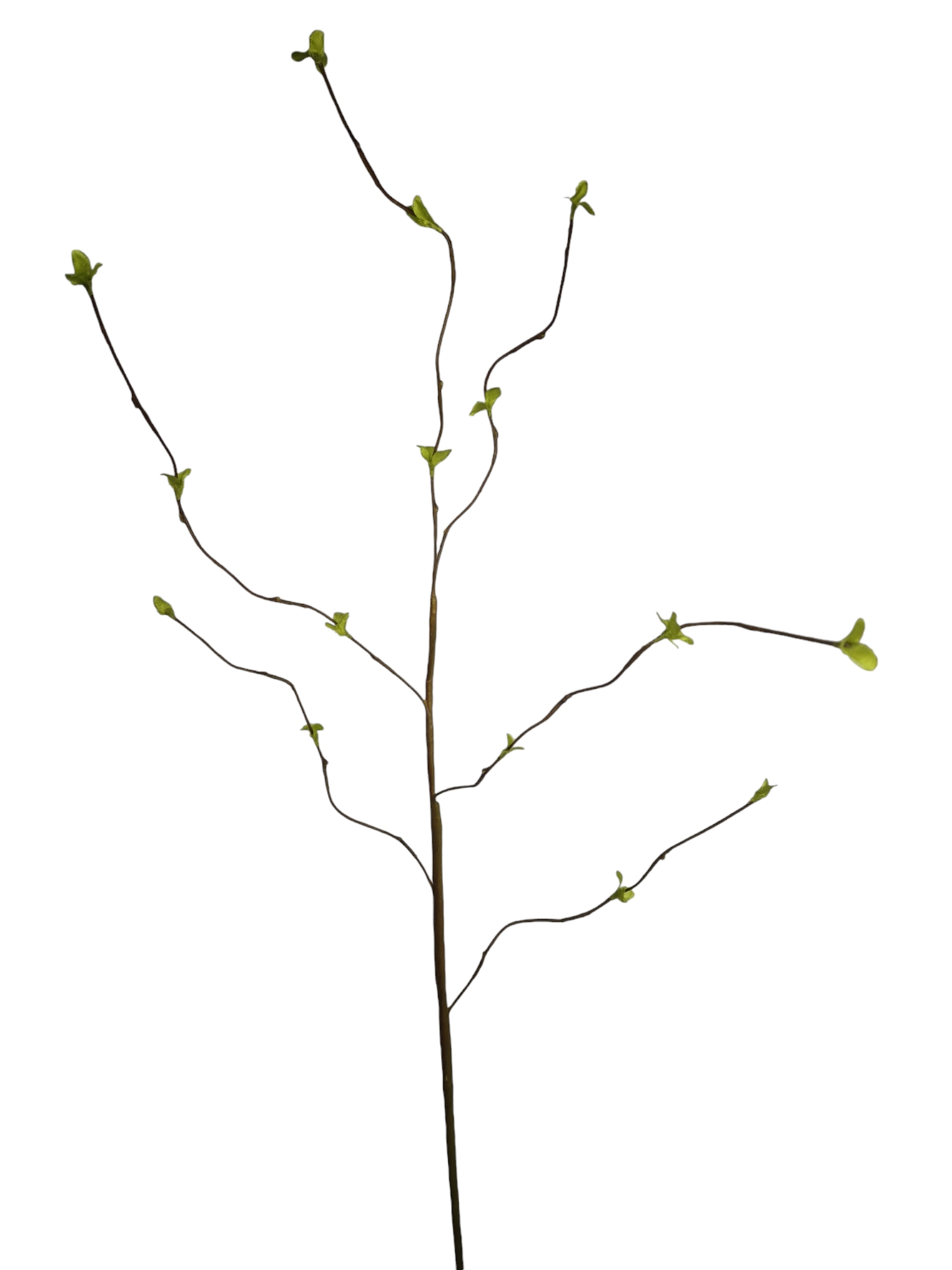 Wilgen tak groen H110 cm