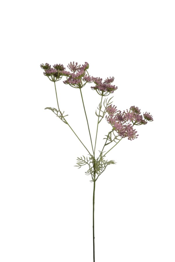 Dille roze - H80 cm