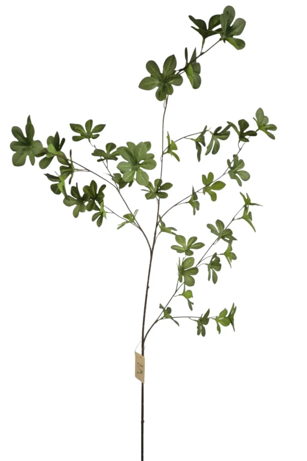blad tak groen