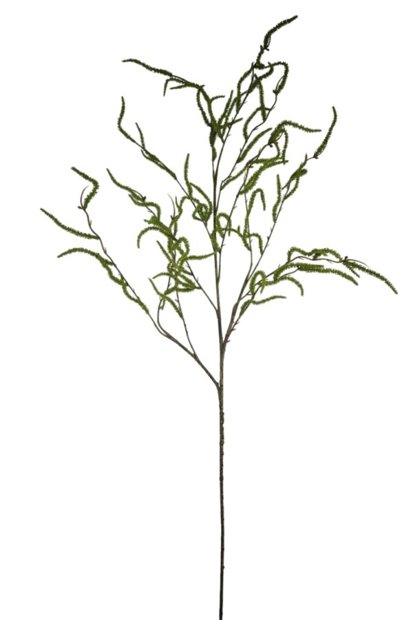 Wilg groen - H120 cm