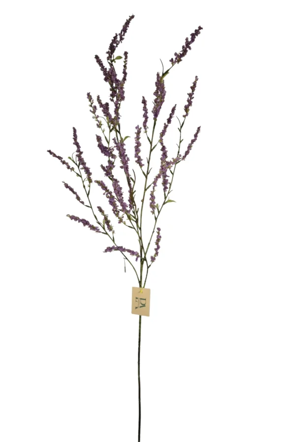 bruidsbloem lila paars
