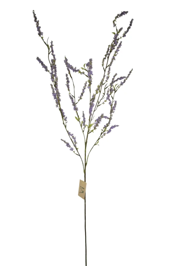 bruidsbloem lila