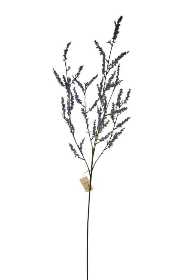 Bruidsbloem blauw paars - H110 cm