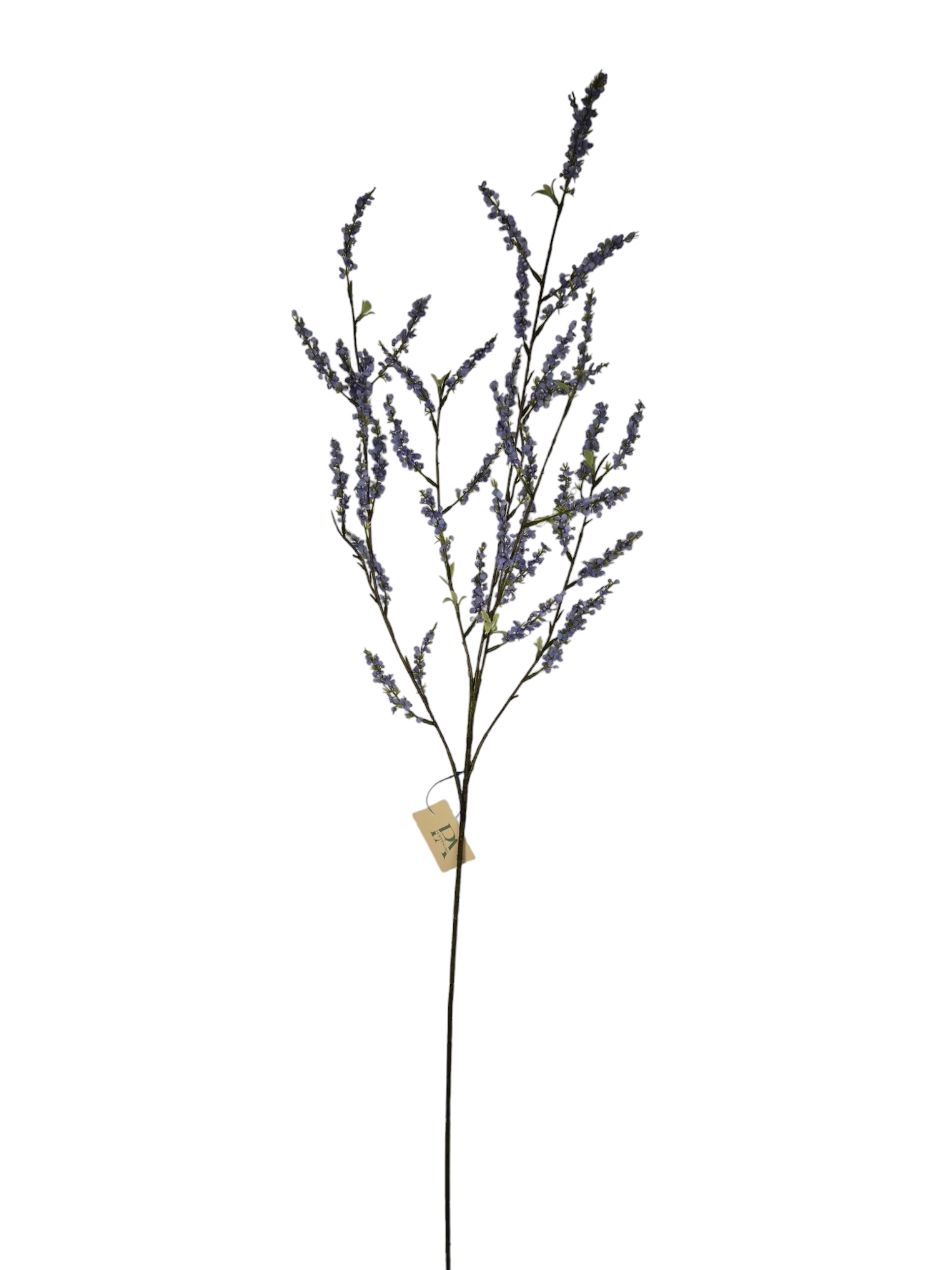 Bruidsbloem blauw paars - H110 cm
