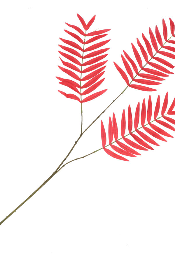 palm blad rood