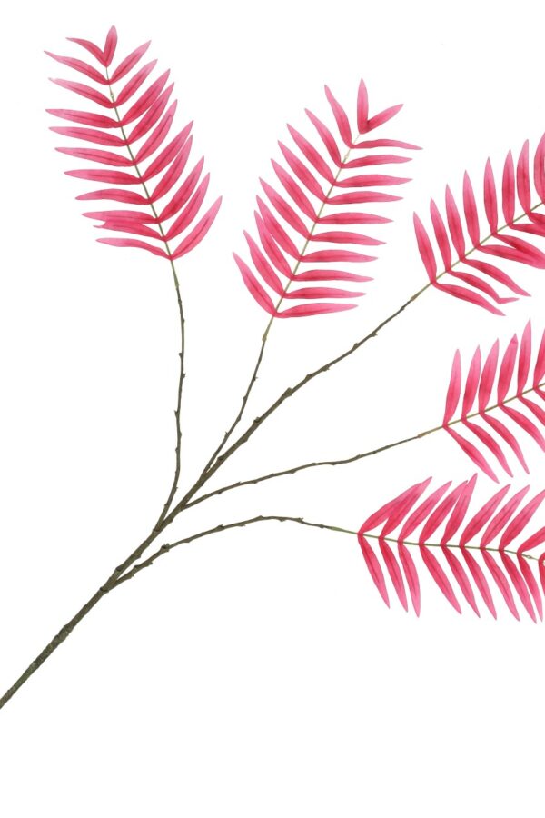 palm blad roze
