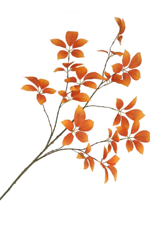 bladtak oranje