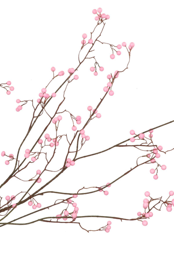 bessentak roze