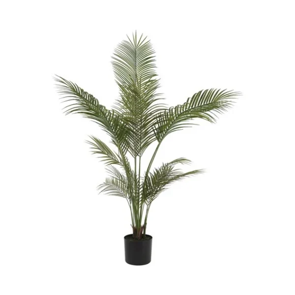 kunst palm