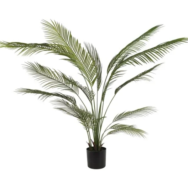 kunst palm