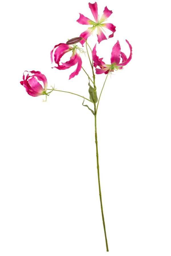 Gloriosa roze - H95 cm
