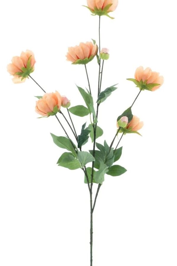 Pioenroos tak peach - H126 cm