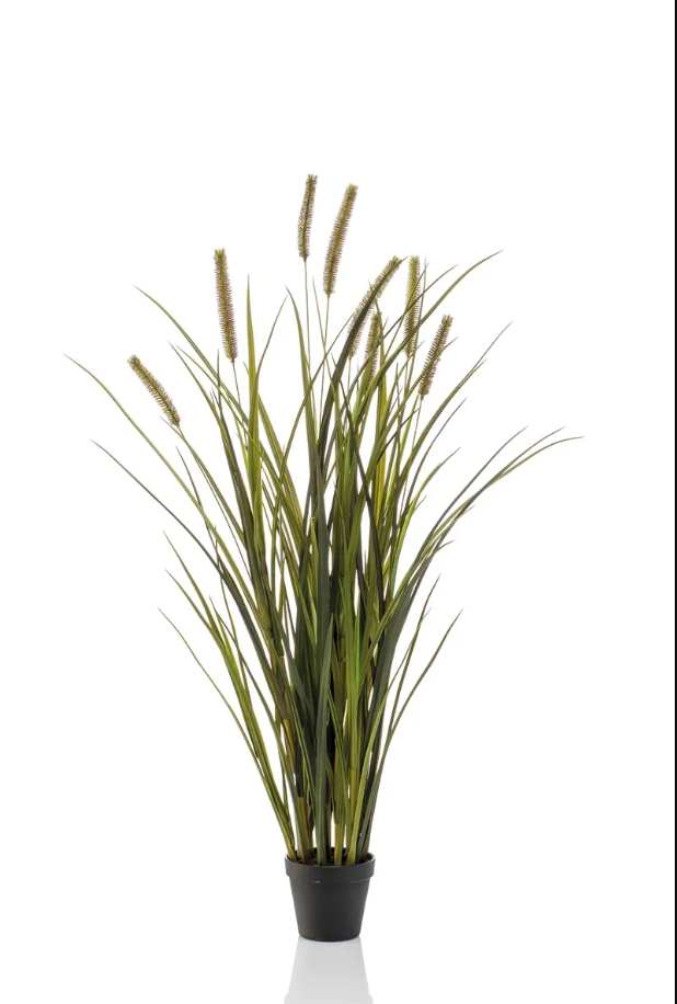Gras pluimplant -H100 cm