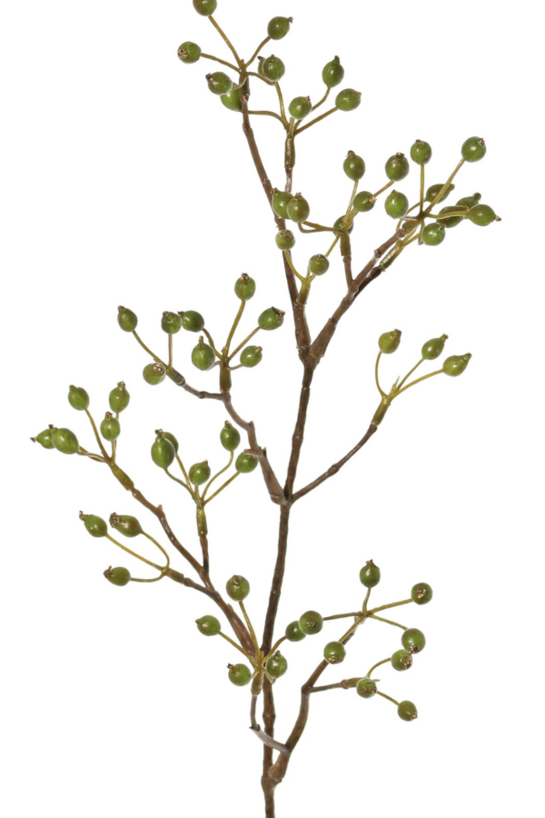 Rozenbotteltak mini groen 62 cm