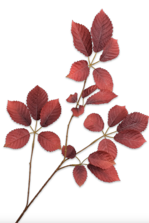 Bladtak bordeaux 74 cm