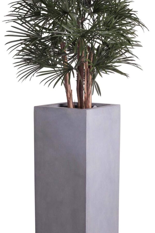 coral-gray