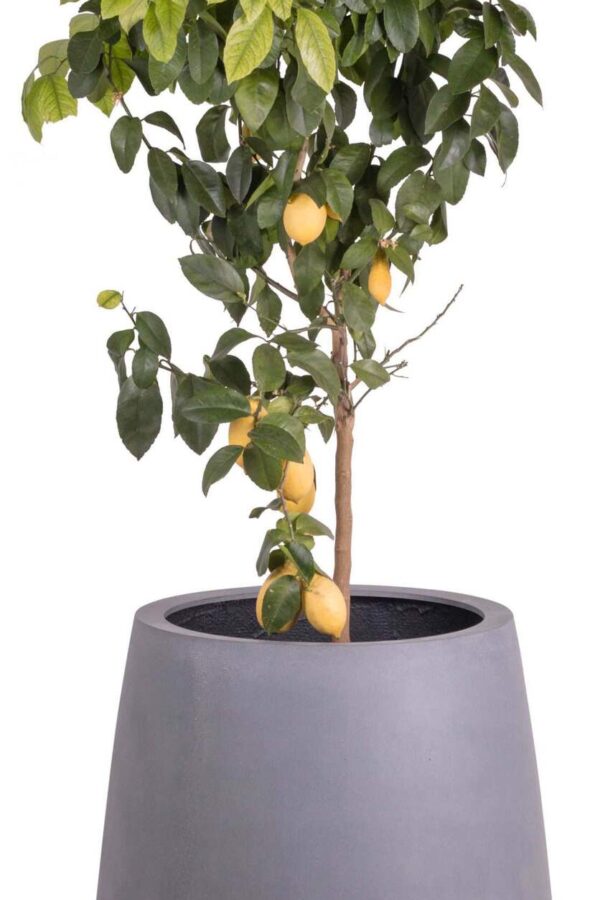 trendy grijze bloempot