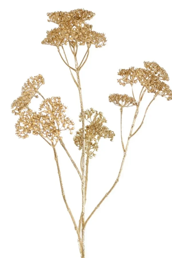 duizendblad goud