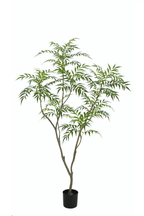 Bamboe boom - H150 cm