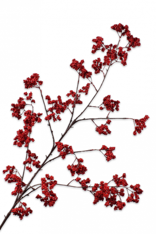 bessentak rood