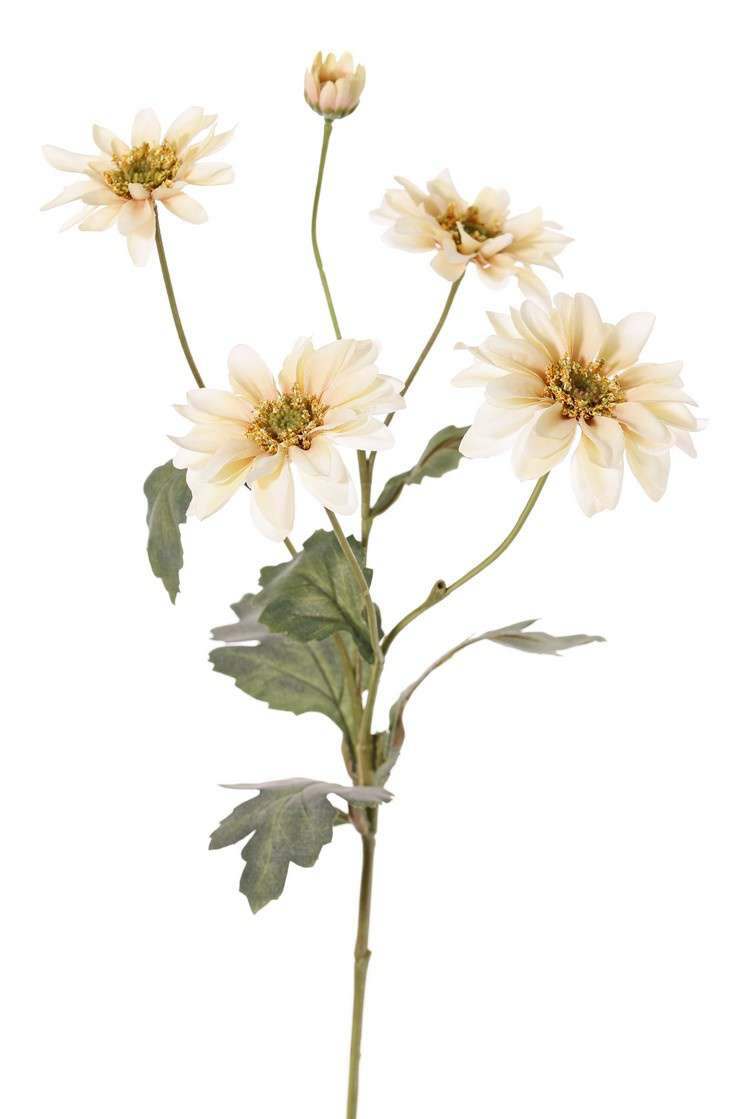 kunst chrysant