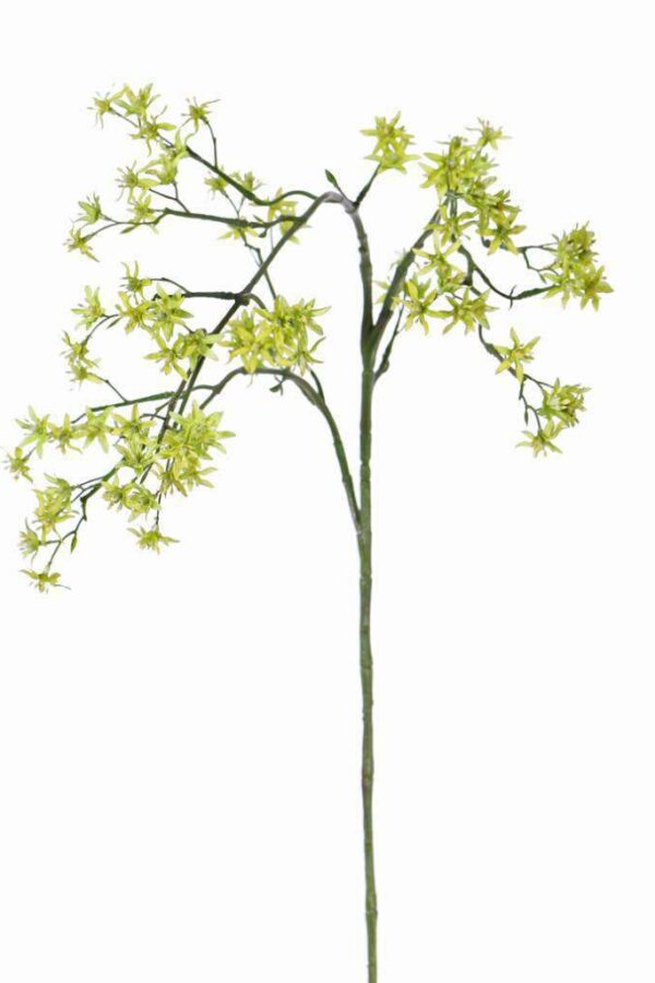 kunst bruidsbloem