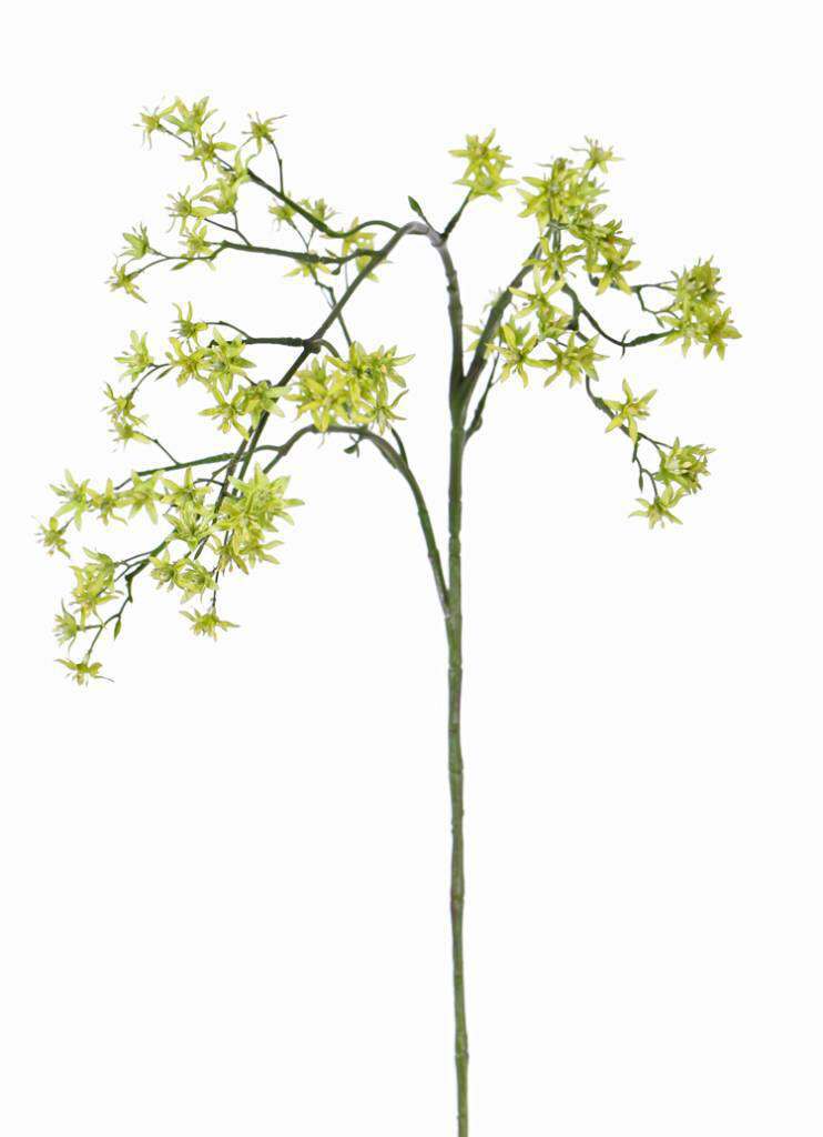 kunst bruidsbloem