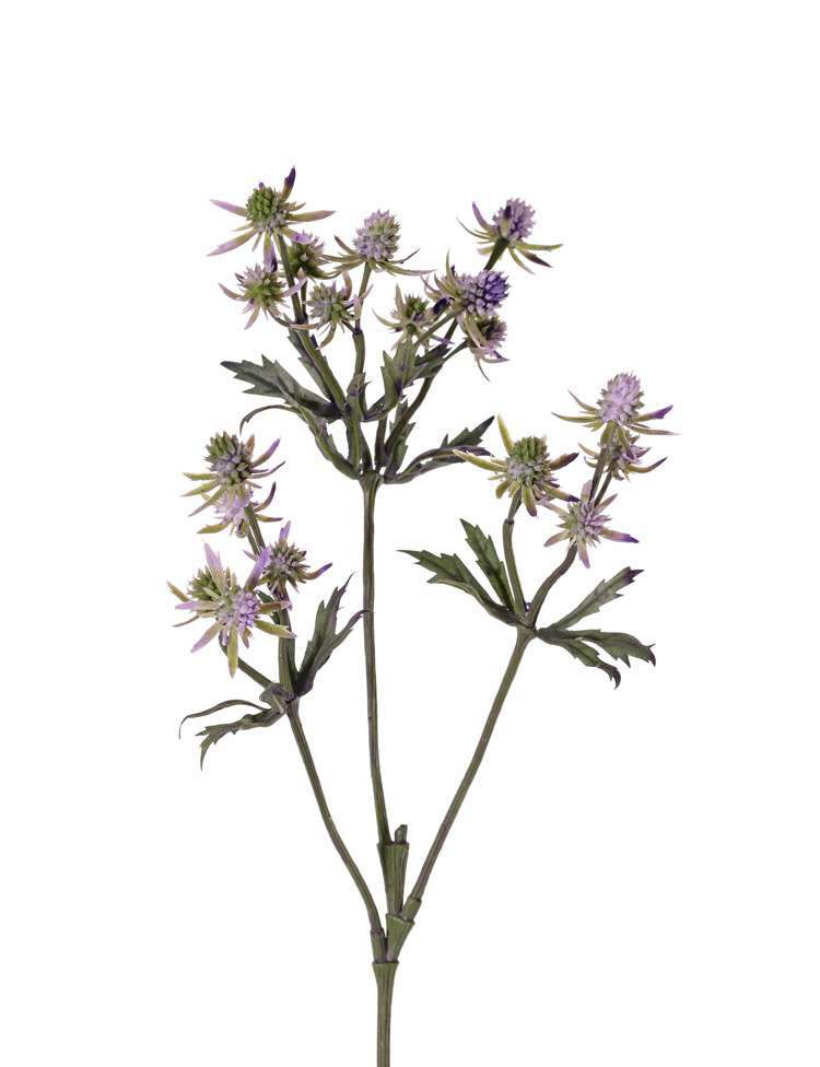 kunst distel
