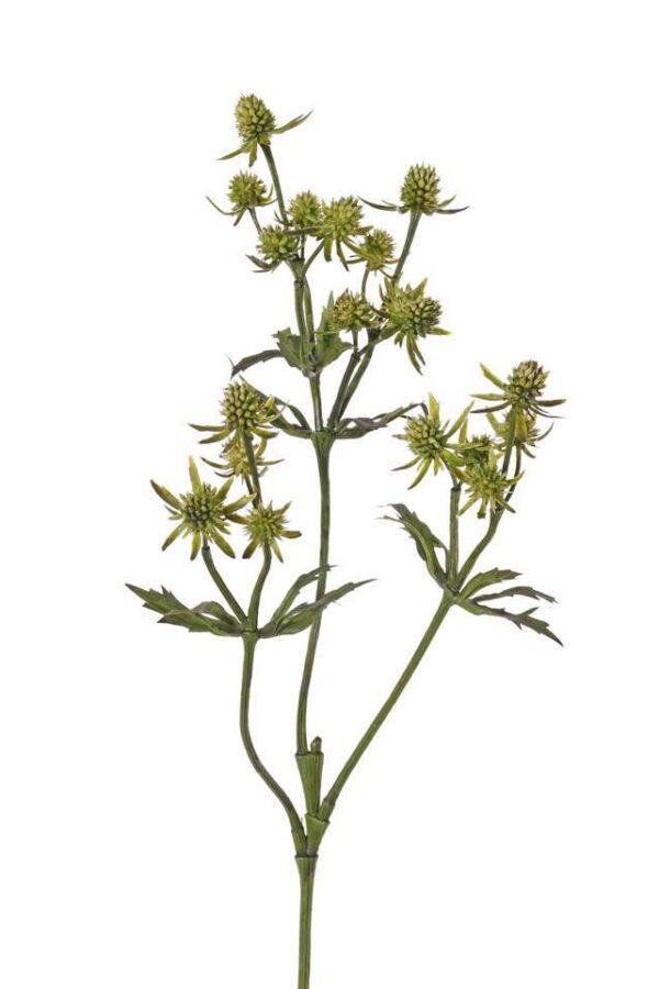kunst distel groen