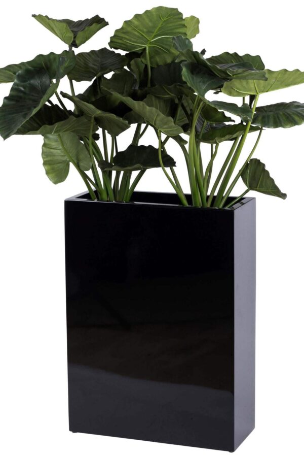 smalle brede plantenbak zwar