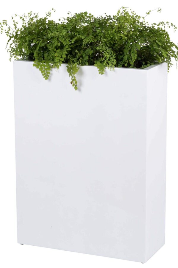 smalle brede plantenbak wit