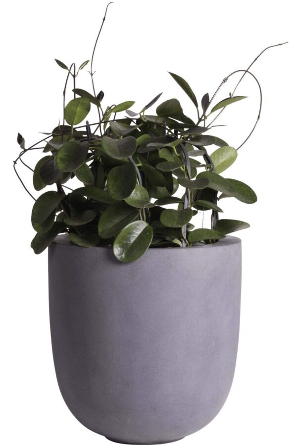 grijze grote bloempot