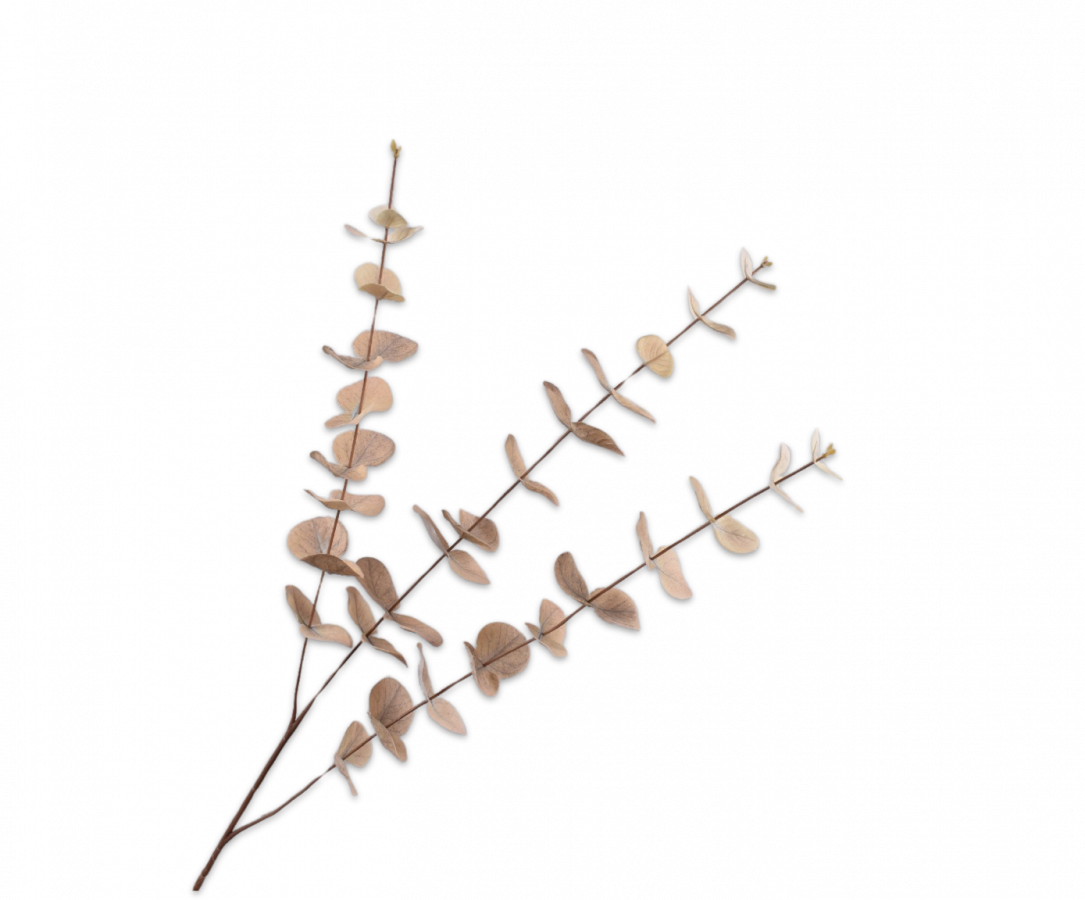 Eucalyptus tak beige 99 cm Silk-ka