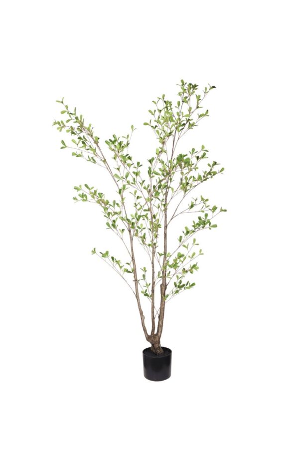 Kunstplant Seren Leaf 150 cm
