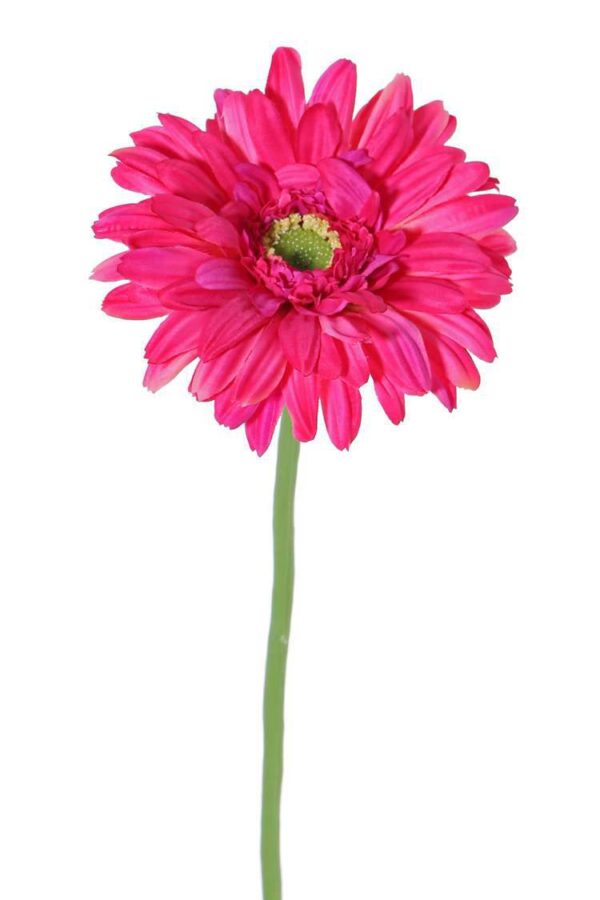 kunst gerbera