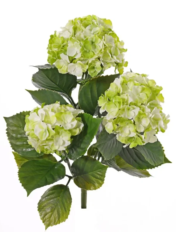 kunst hortensia