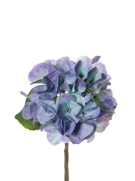 Hortensia blauw 33 cm